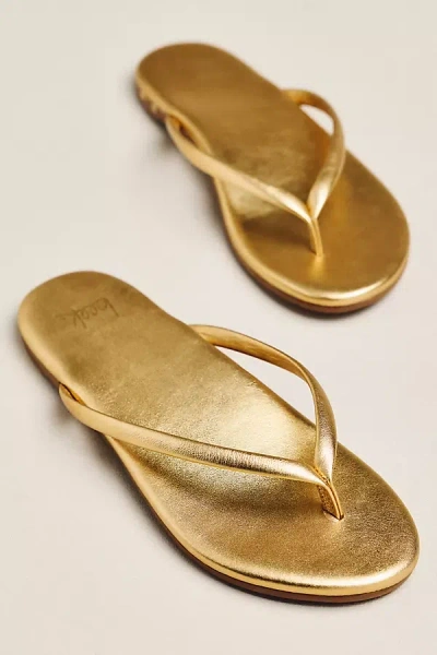 Beek Sunbeam Thong Sandals In Gold