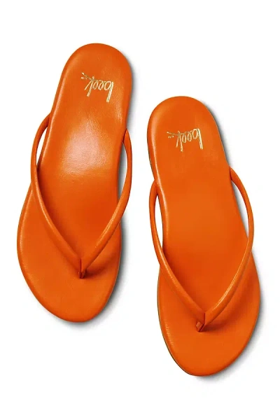 Beek Sunbeam Thong Sandals In Red