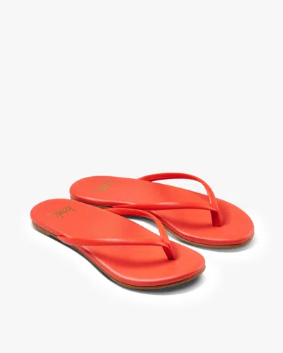 Beek Sunbeam - Tomato, Tomato, Leather