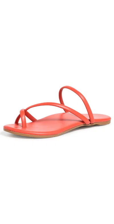 Beek Sunbird Sandals Tomato In Orange