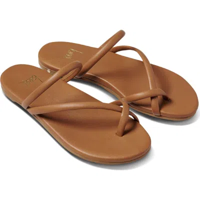 Beek Sunbird Slide Sandal In Brown