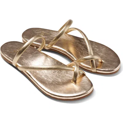 Beek Sunbird Slide Sandal In Gold
