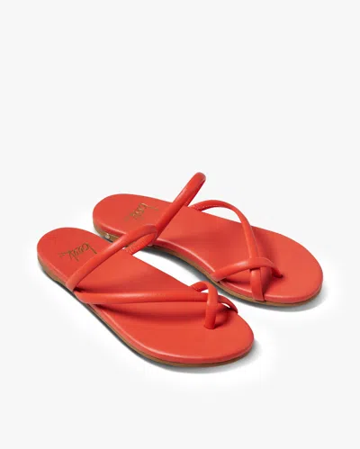 Beek Sunbird - Tomato, Tomato, Leather