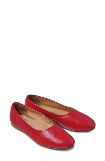 Beek Swiftlet Leather Ballet Slipper In Multi