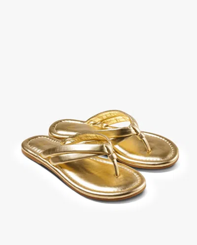 Beek Toucan In Gold