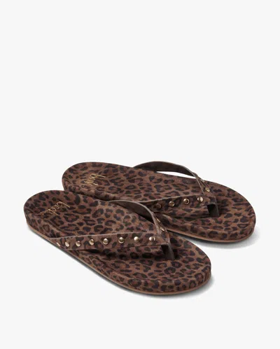 Beek Tringa Flip Flop In Animal Print