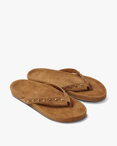 Beek Tringa In Brown