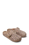 Beek Vulture Cheetah Print Mule