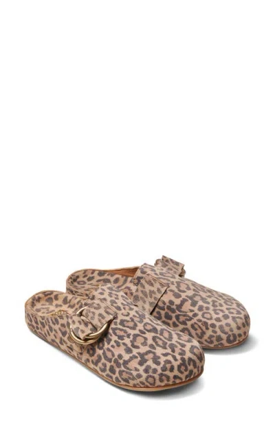 Beek Vulture Cheetah Print Mule In Leopard