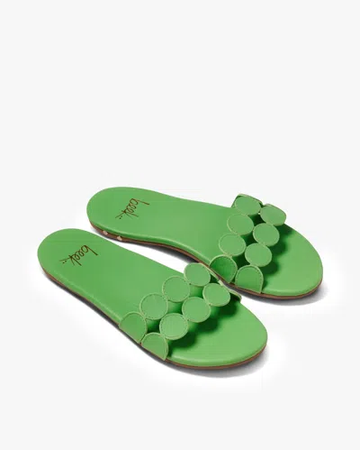 Beek Whirlybird - Palm