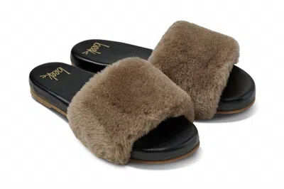 Beek Women Baza Shearling Slides In Bronze/black In Brown