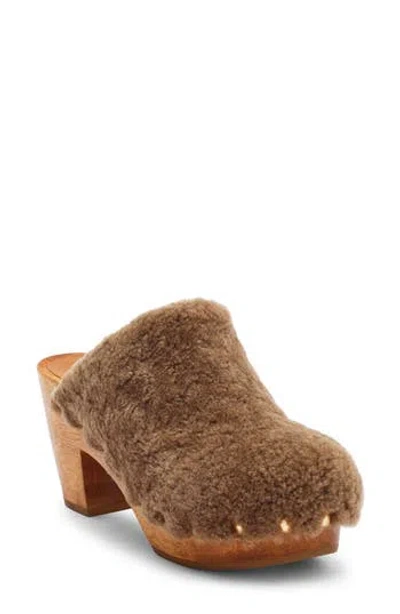 Beek Woodpecker Clog In Bronze Shearling