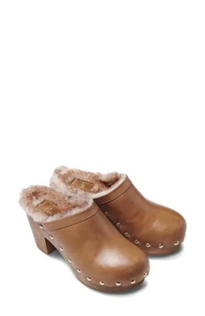 Beek Woodpecker Genuine Shearling Clog In Brown