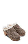 Beek Woodpecker Genuine Shearling Clog In Leopard