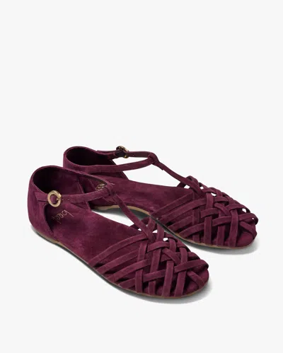 Beek Wren In Purple