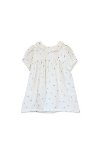 Beet World Kids'  Emily Dress With Lace Trim In White