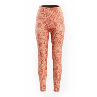 Befitnesslou Women's Pink / Red Coral Snake Legging In Multi