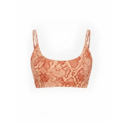 Befitnesslou Women's Red / Pink Bra Coral Snake Print In Multi