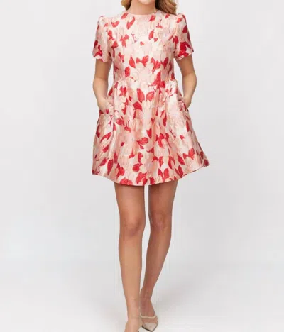 Before You Floral Jacquard Mini Dress In Pink/red In Multi