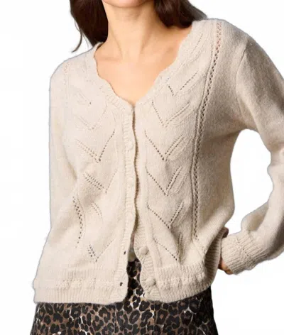 Before You Long Sleeve Button Down Wave Edge Cardigan In Oatmeal In Multi