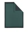Begg X Co Cashmere Arran Border Throw In Green