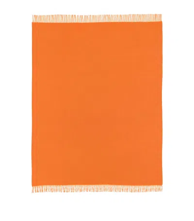 Begg X Co Cashmere Arran Plain Throw In Brown