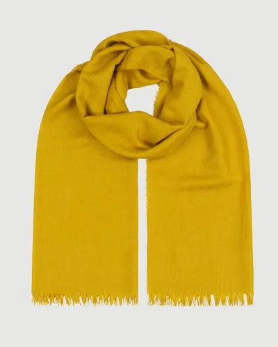 Begg X Co Staffa Solid Scarf Gold Dust In Yellow