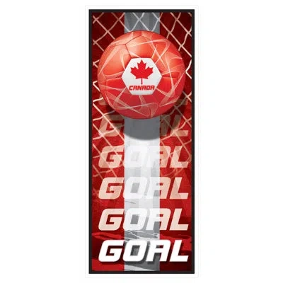 Beistle Canada Soccer Door Covers All-weather Decorations With Canadian Flag Football Graphic & “goal” Desig In Multicolor