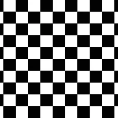Beistle Checkered Backdrop - 4' X 30' - Pack Of 6 In Multicolor