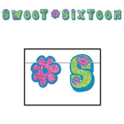 Beistle Glittered Sweet Sixteen Streamer In Multicolor
