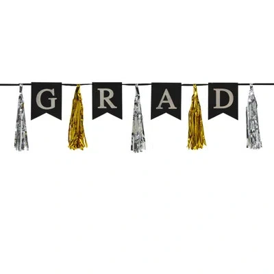 Beistle Grad Tassel Streamer - 13" X 6' 6" - Pack Of 12 In Multicolor