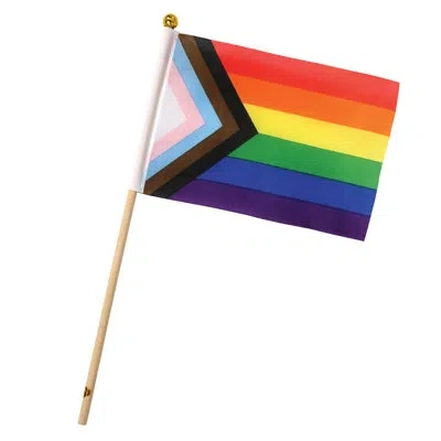 Beistle Pkgd Pride Flags - 4" X 6" - Pack Of 6 In Multicolor