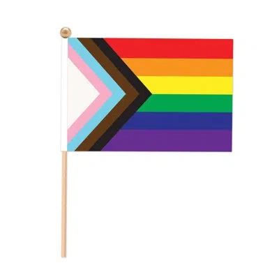 Beistle Pride Flag - Fabric - 6" - Pack Of 12 In Multicolor