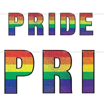 Beistle Pride Streamer - Pack Of 12 In Multicolor