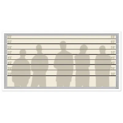 Beistle Psi Lineup Insta-view - 3' 2" X 5' 2" - Pack Of 6 In Multicolor