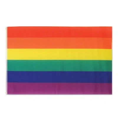 Beistle Rainbow Flag - Pack Of 12 In Multicolor