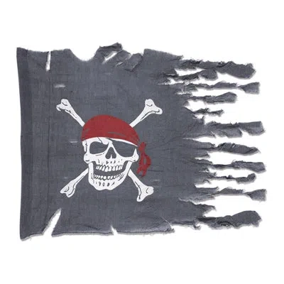 Beistle Weathered Pirate Flag - Pack Of 12 In Multicolor
