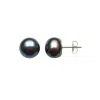 Belacqua 5.5-6mm Black Freshwater Button Pearl Stud Earrings In Sterling Silver Jewelry For Women In Black