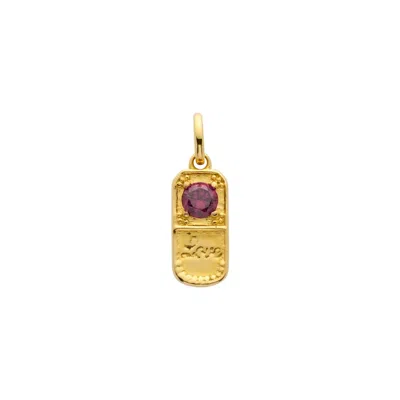 Belinda Jewelz Women's Gold / Pink Ruby Love Pill Charm In Multi