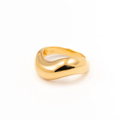 Belinda Jewelz Women's Gold / Silver Wren Chunky Ring In Multi