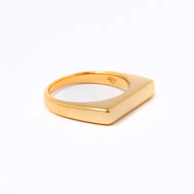 Belinda Jewelz Women's Gold / Silver Zuri Bar Ring In Multi