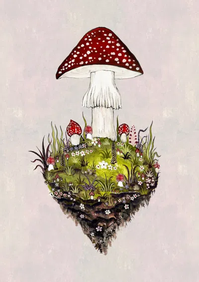 Bell Hutley Limited Edition Mushroom Mountain Print