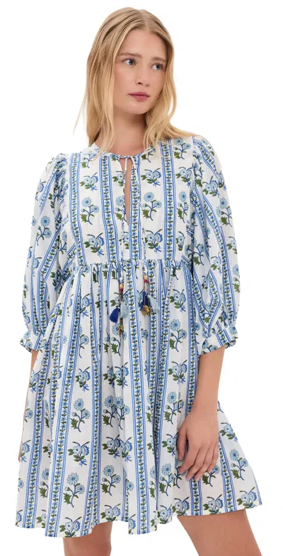 Bell Sylvie Mini Cotton Tunic Dress Blue Floral Stripe In Brown