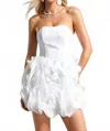 Bella Barnett Janka Flower Mesh Mini Dress In White In White