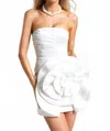 Bella Barnett Kiwisy Flower Pleated Mini Dress In White In White
