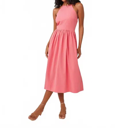 Bella Dahl Fitted Midi Halter Dress In Hibiscus Pink