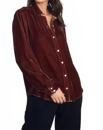 Bella Dahl Long Sleeve Classic Shirt In Amber Honey In Brown