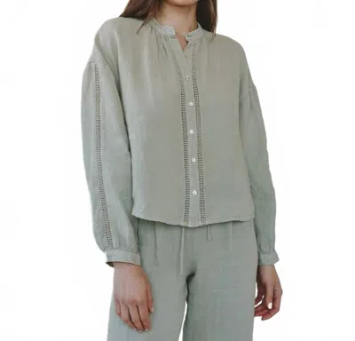 Bella Dahl Mandarin Collar Trimmed Button Down Shirt In Green Tea