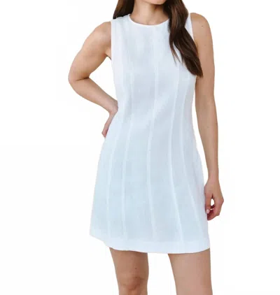Bella Dahl Seamed Zip Back Mini Dress In Animal Print