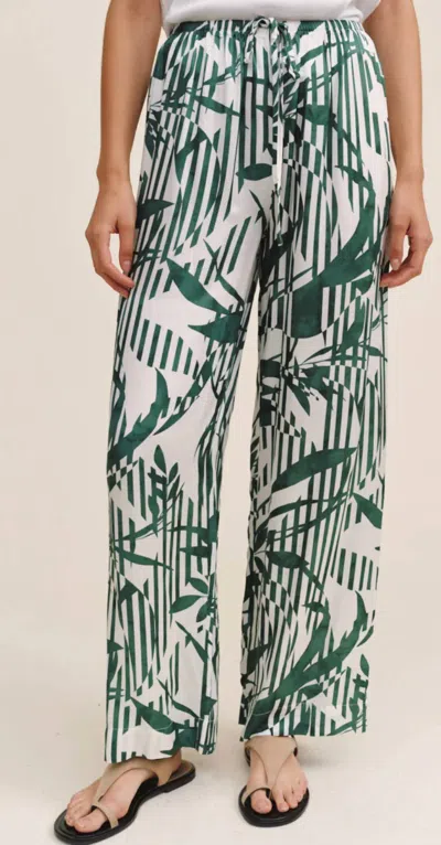 Bella Dahl Wide Leg Pant In Palm Paradise Print In Green